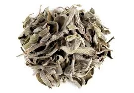 Sauge feuilles entière