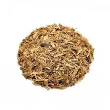 Saule blanc Salix alba