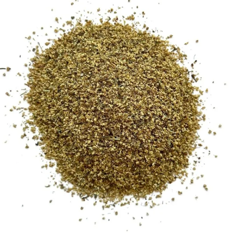 Sureau - Sambuccus nigra - Fleur mondée