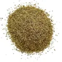 Sureau - Sambuccus nigra - Fleur mondée