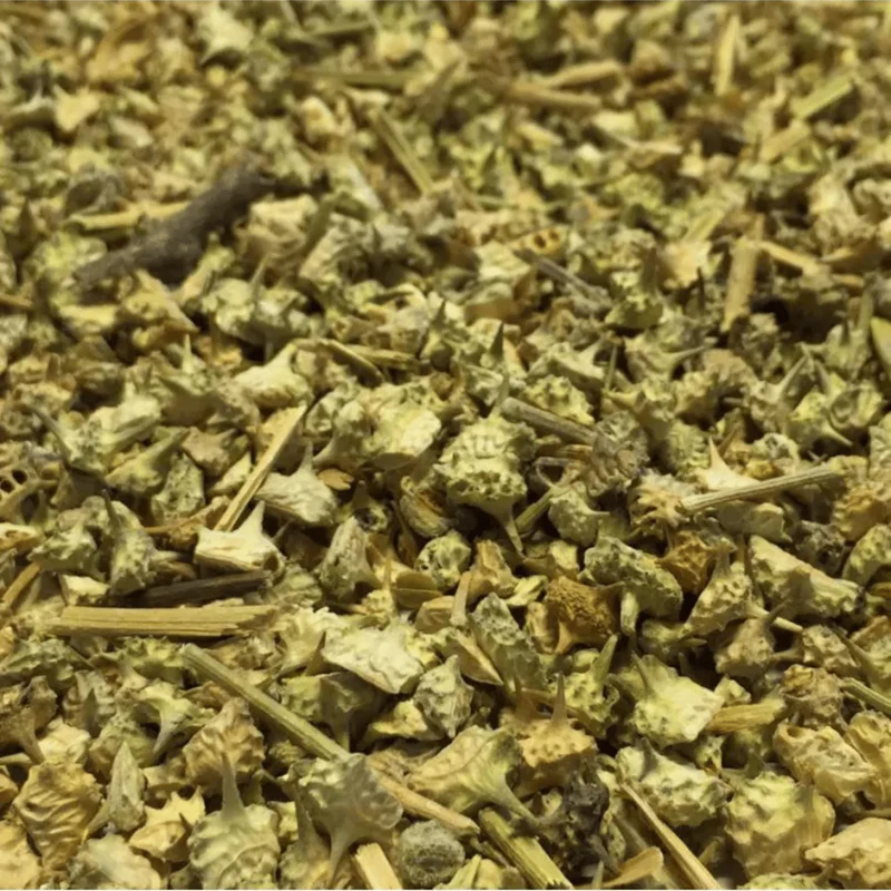 Tribule – Tribulus terrestris en vrac