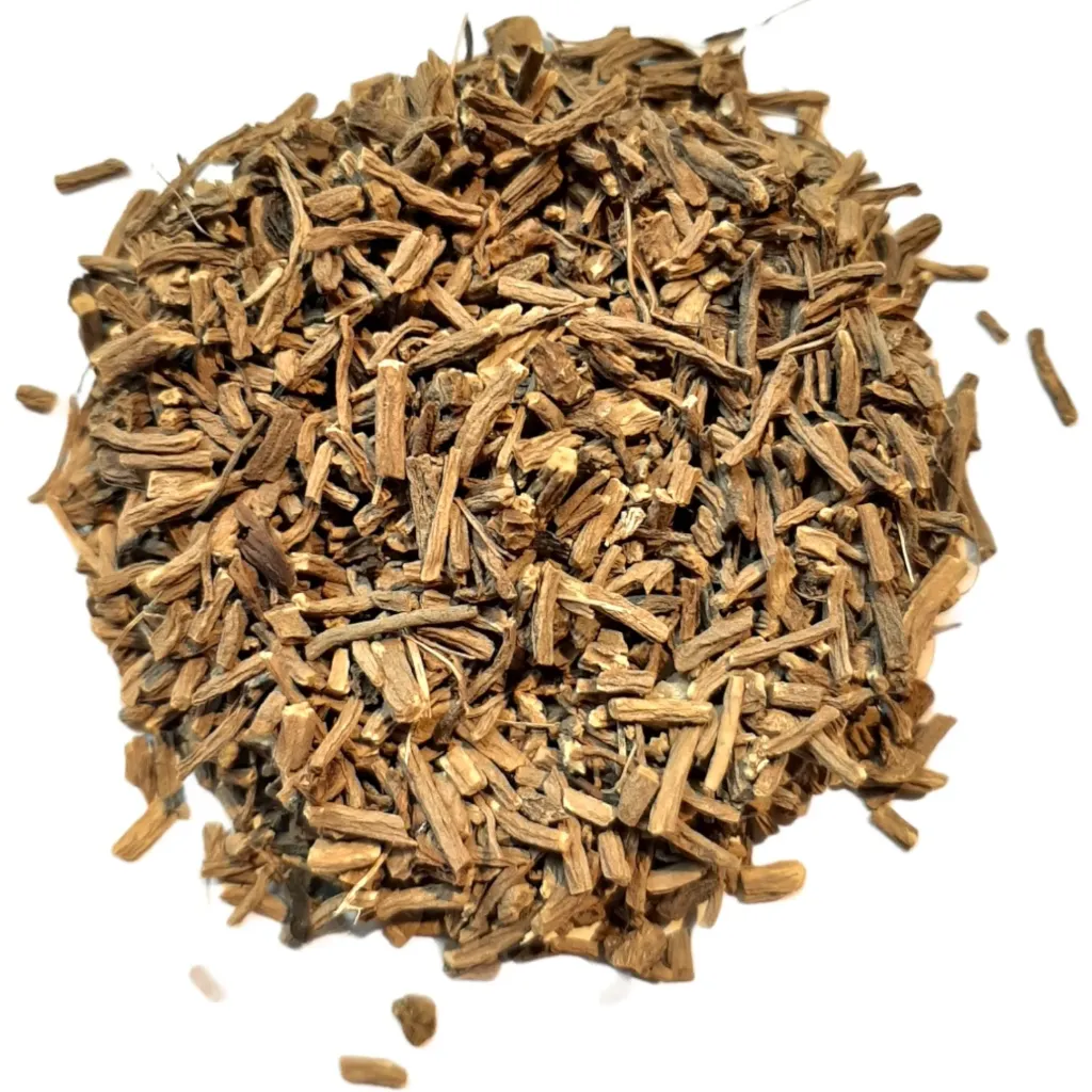 Valériane - Valeriana officinalis - Racine coupée