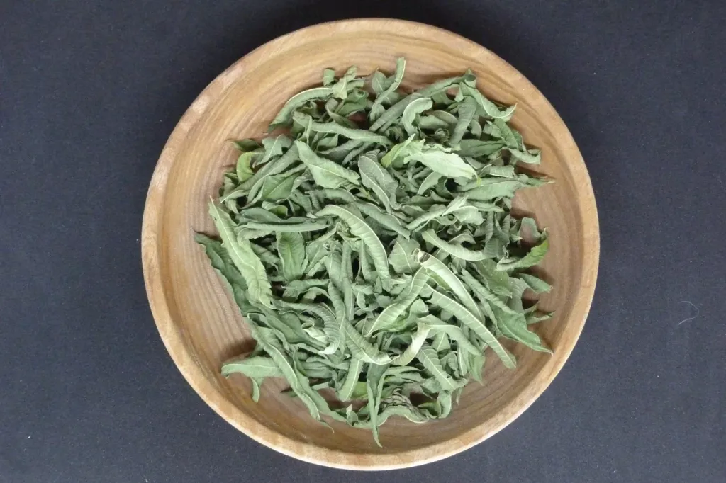 Verveine odorante - Lippia citriodora- Feuille coupée