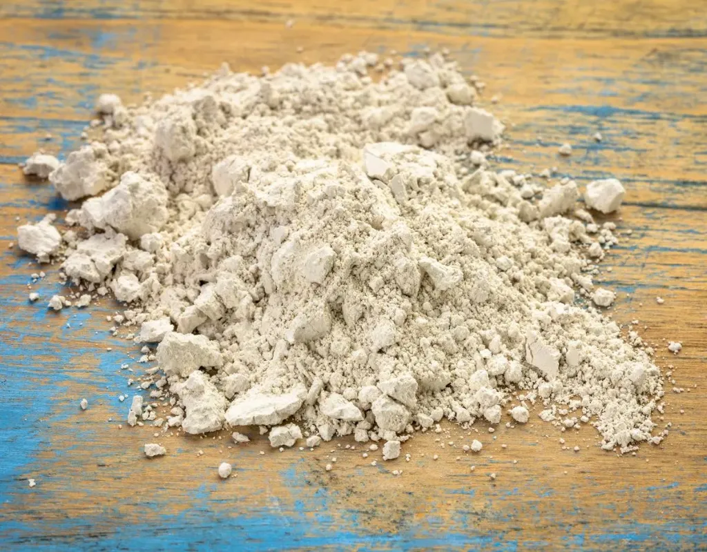 Terre de diatomée 500 g – Anti-insectes naturel – Usage domestique