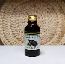 Huile végétale Calophylle Inophyle BIO - 100ml