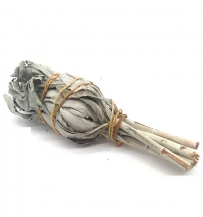 Bâton de sauge blanche torche S