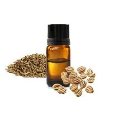 Ajowan (Trachyspermum Ammi)  - 10ml