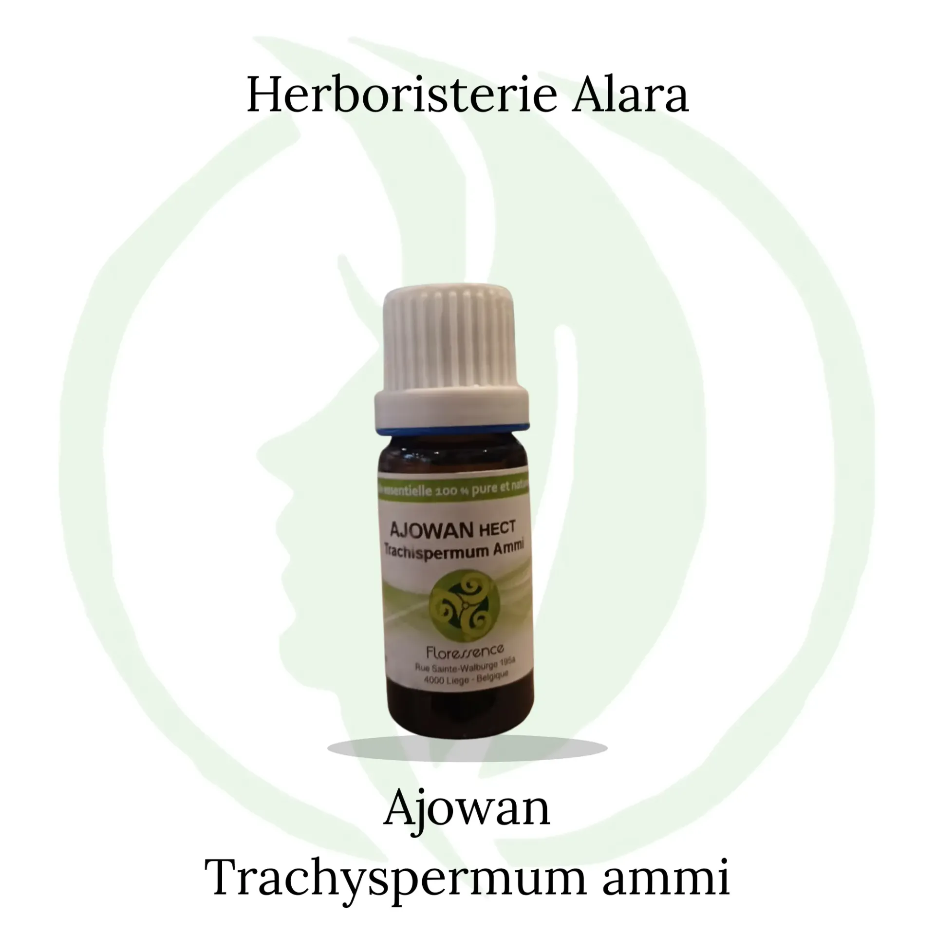 Ajowan (Trachyspermum Ammi)  - 10ml