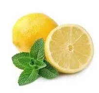 Désodorisant aux huiles essentielles (brume d'ambiance) - parfum au choix (Citron menthe)