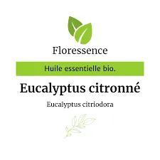 Eucalyptus citronné (Eucalyptus Citriodora) BIO - 10ml