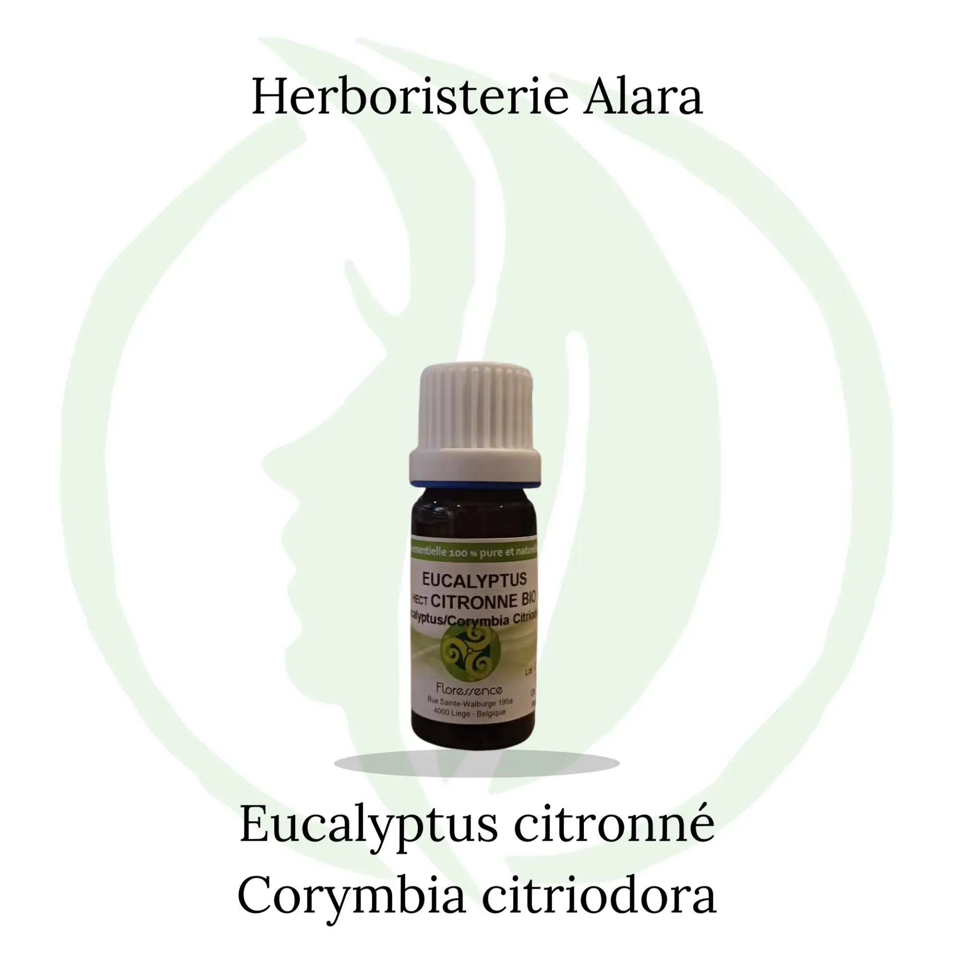 Eucalyptus citronné (Eucalyptus Citriodora) BIO - 10ml