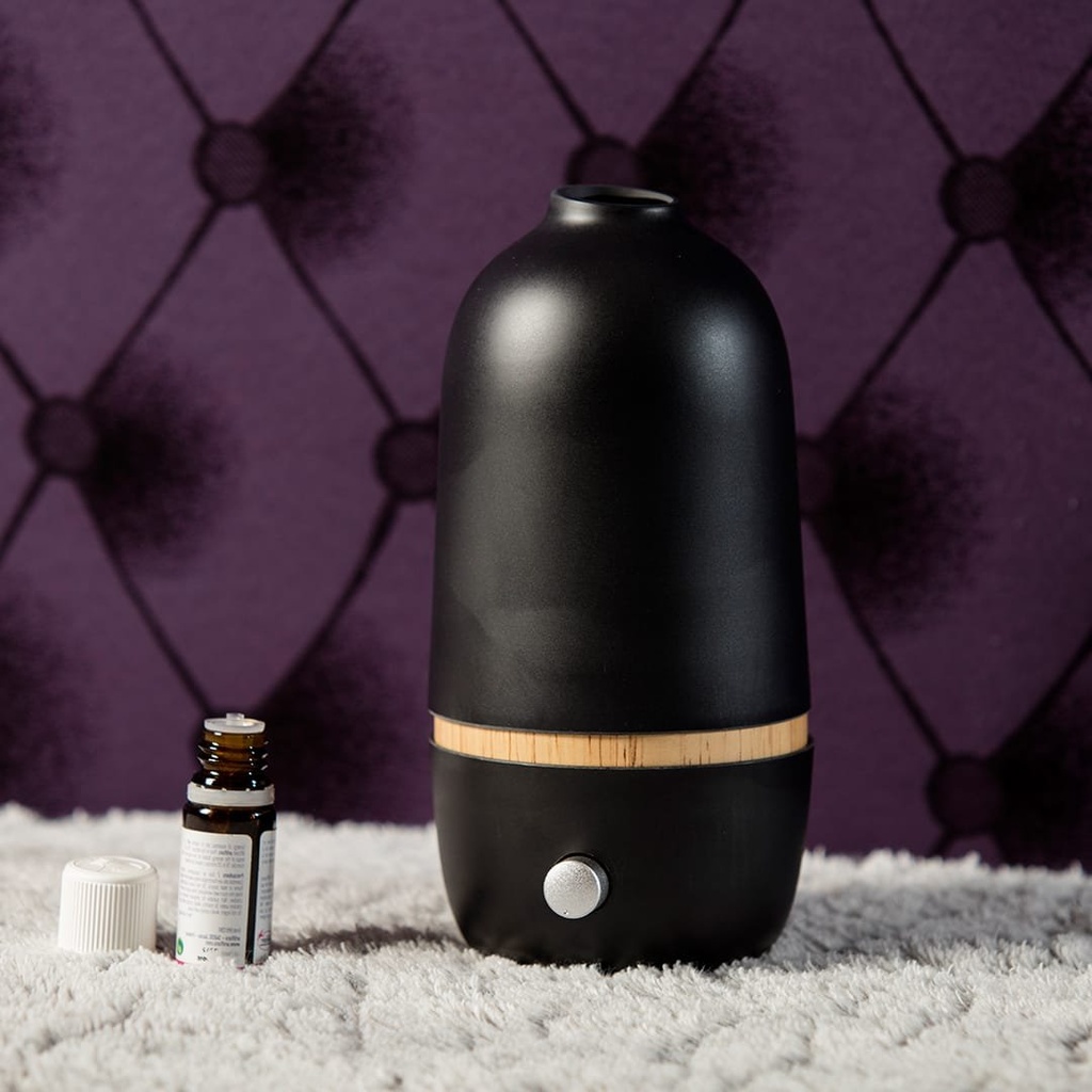 INNOBIZ Nebulisation diffuseur Bo