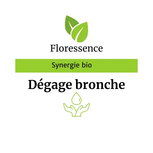 Synergie dégage les bronches