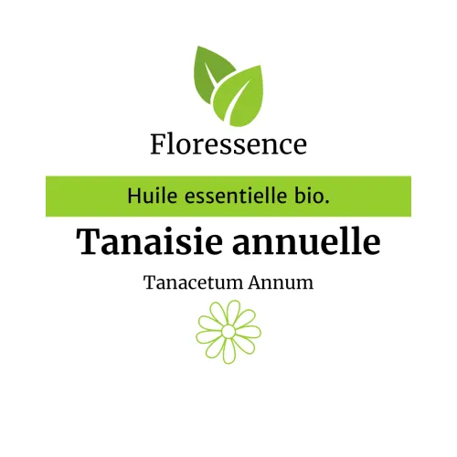 Tanaisie annuelle (Tanacetum Annuum) BIO - 5ml