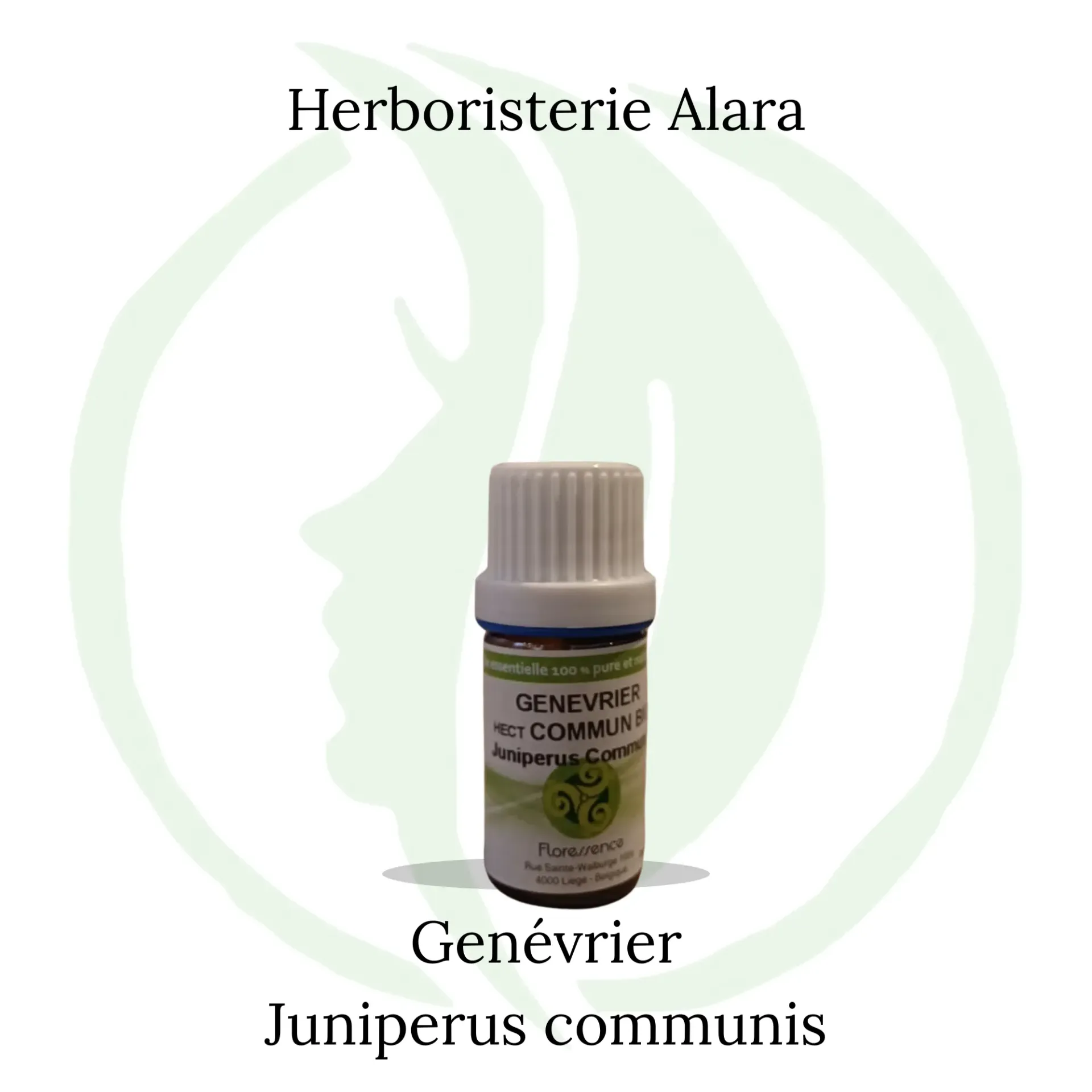Génévrier com. des montagnes(Juniper.Com) BIO - 5ml