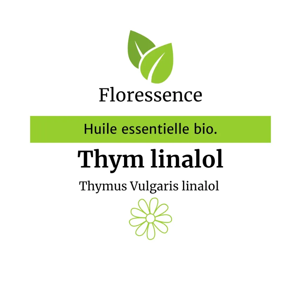 Thym vulgaire à linalol - 5ml
