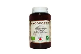 Chaga - 180 gélules