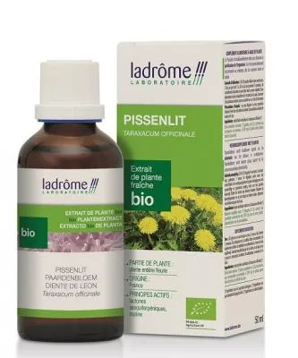 Teinture mère pissenlit - Taraxacum officinale - 50 ml
