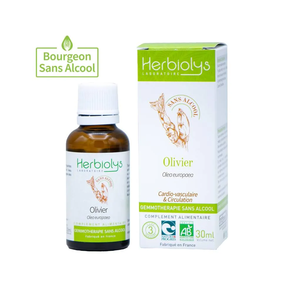 Olivier BIO Sans Alcool Herbyolis – Macérat de Bourgeons 30 ml