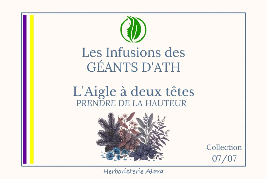 L'Aigle à deux têtes – Prendre de la hauteur 50g