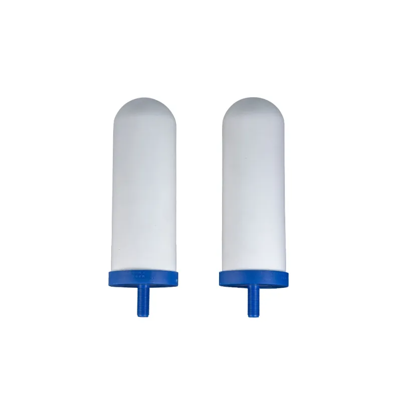Filtre à eau Coldstream FTO+ CF163W – Lot de 2 filtres à gravité