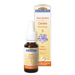 05 Cerato, Plumbago - Bio 20ml