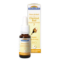 07 Chestnut Bud, Bourgeons de Marronnier - Bio 20ml