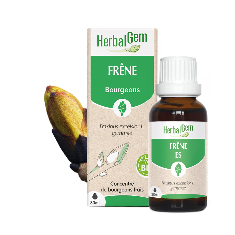 Bourgeon de frêne 30ml herbalgem
