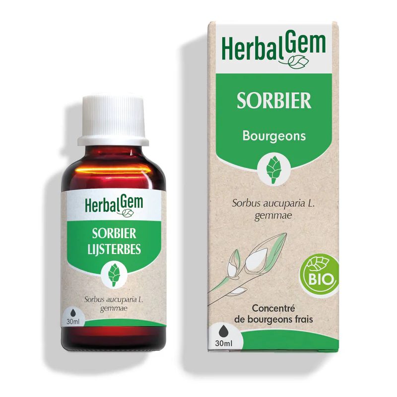 Bourgeon de sorbier 30ml