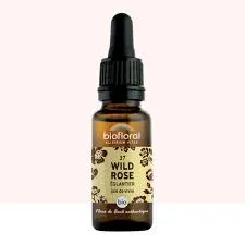 Fleur de Bach n°37 Wild Rose, Églantier - Bio - 20ml