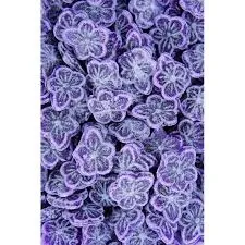 Fragrance 10ml bonbon violette