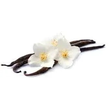 Fragrance 10ml vanille