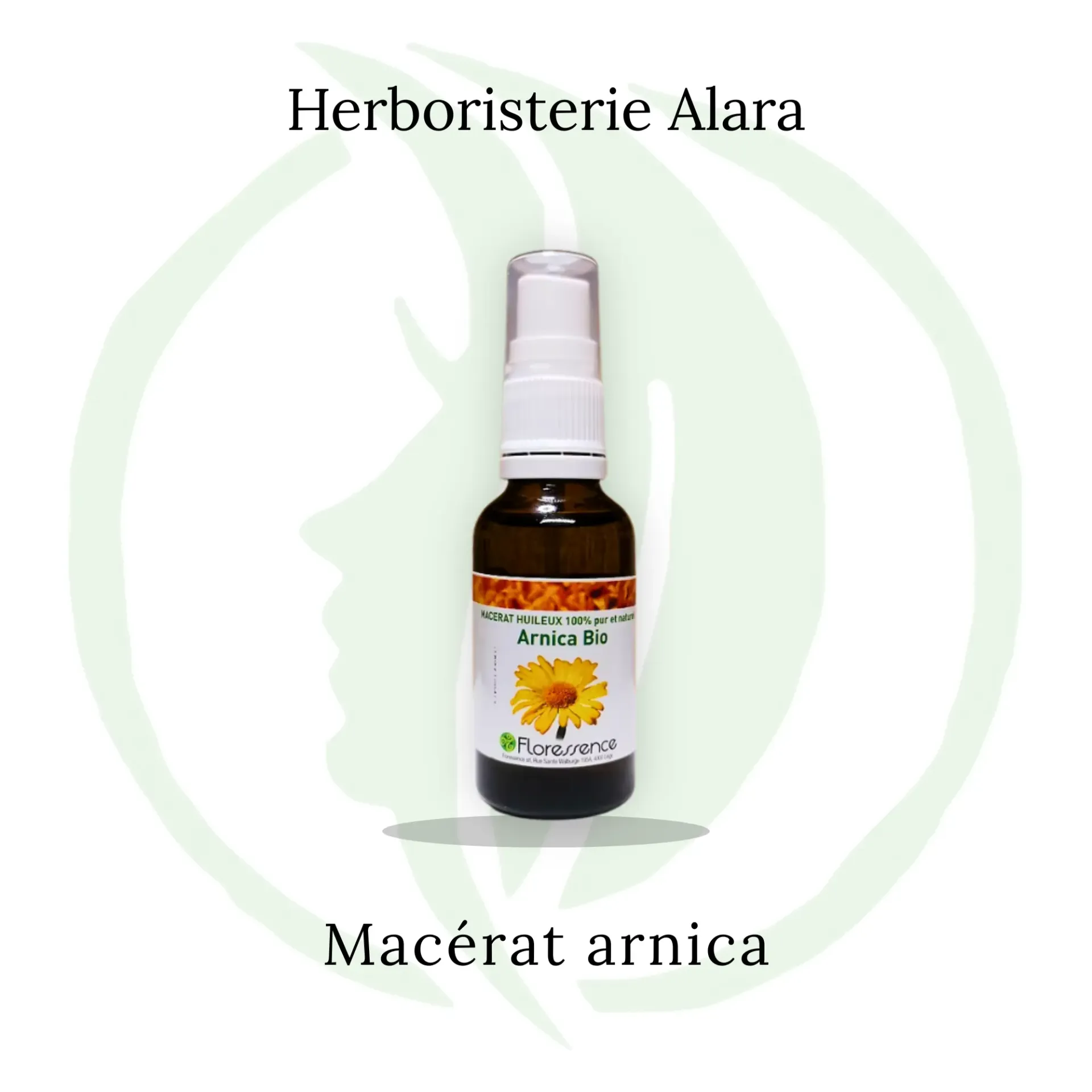 Mâcérat huileux d'arnica - 100 ml