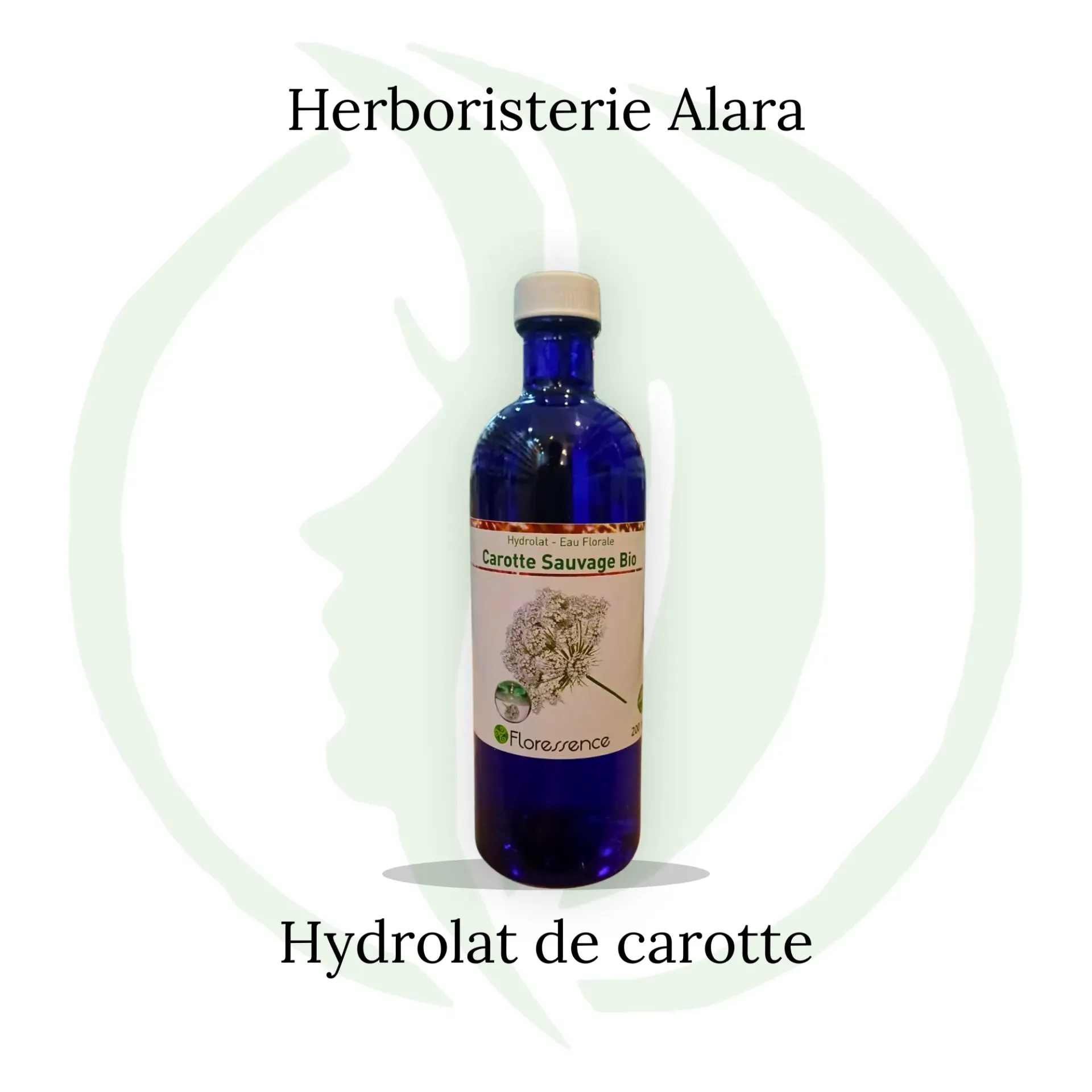 Hydrolat de carotte 200ml