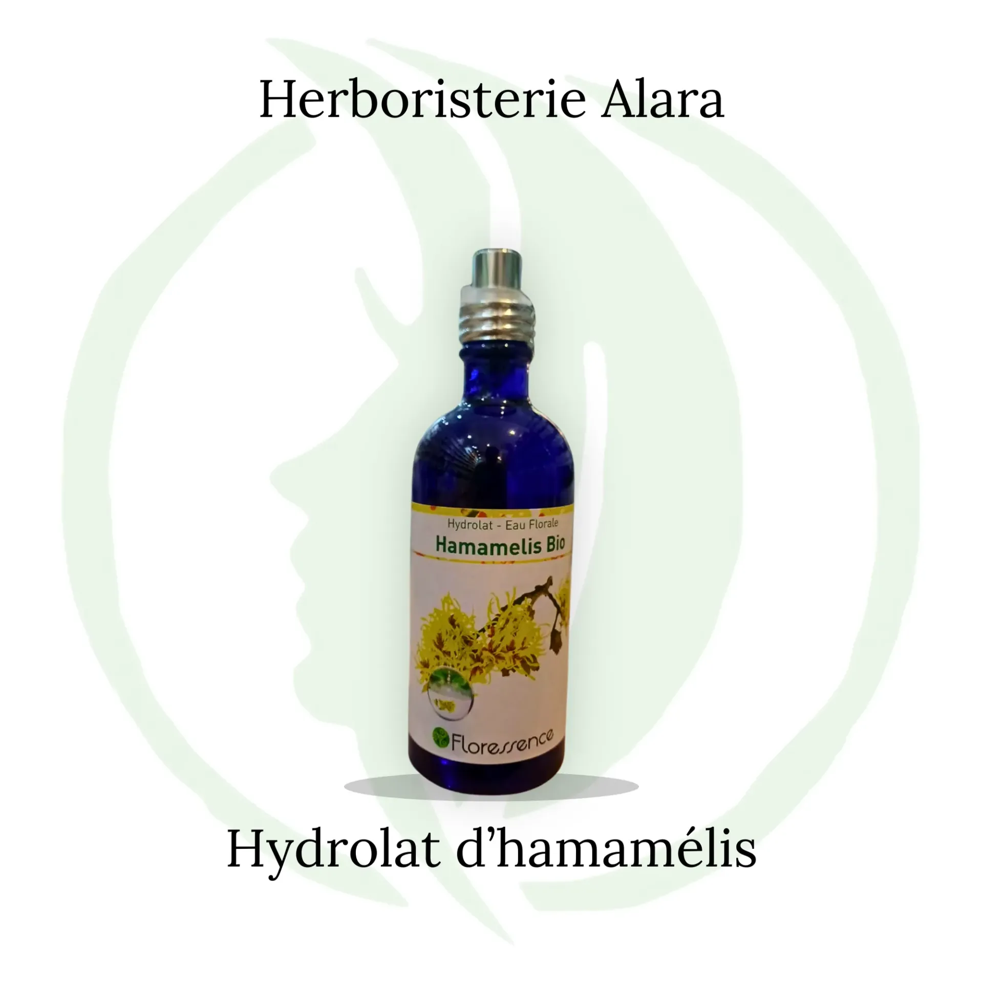 Hydrolat Hamamélis BIO - 100ml spray