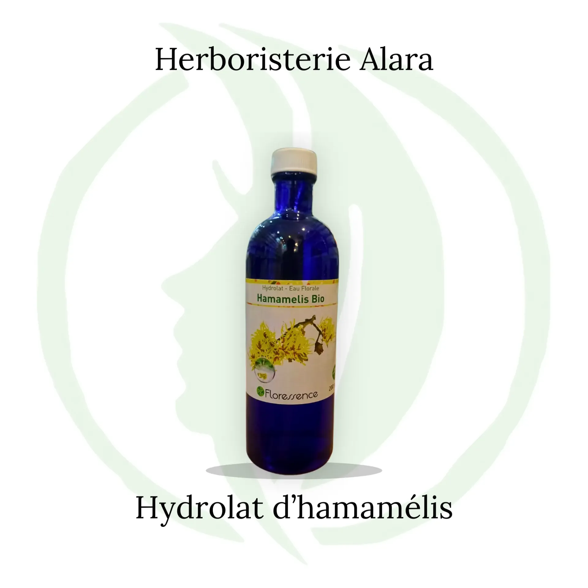 Hydrolat Hamamélis BIO - 200ml