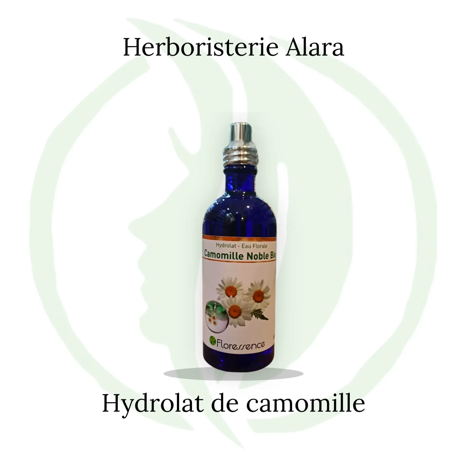 Hydrolat Camomille BIO - 100 ml