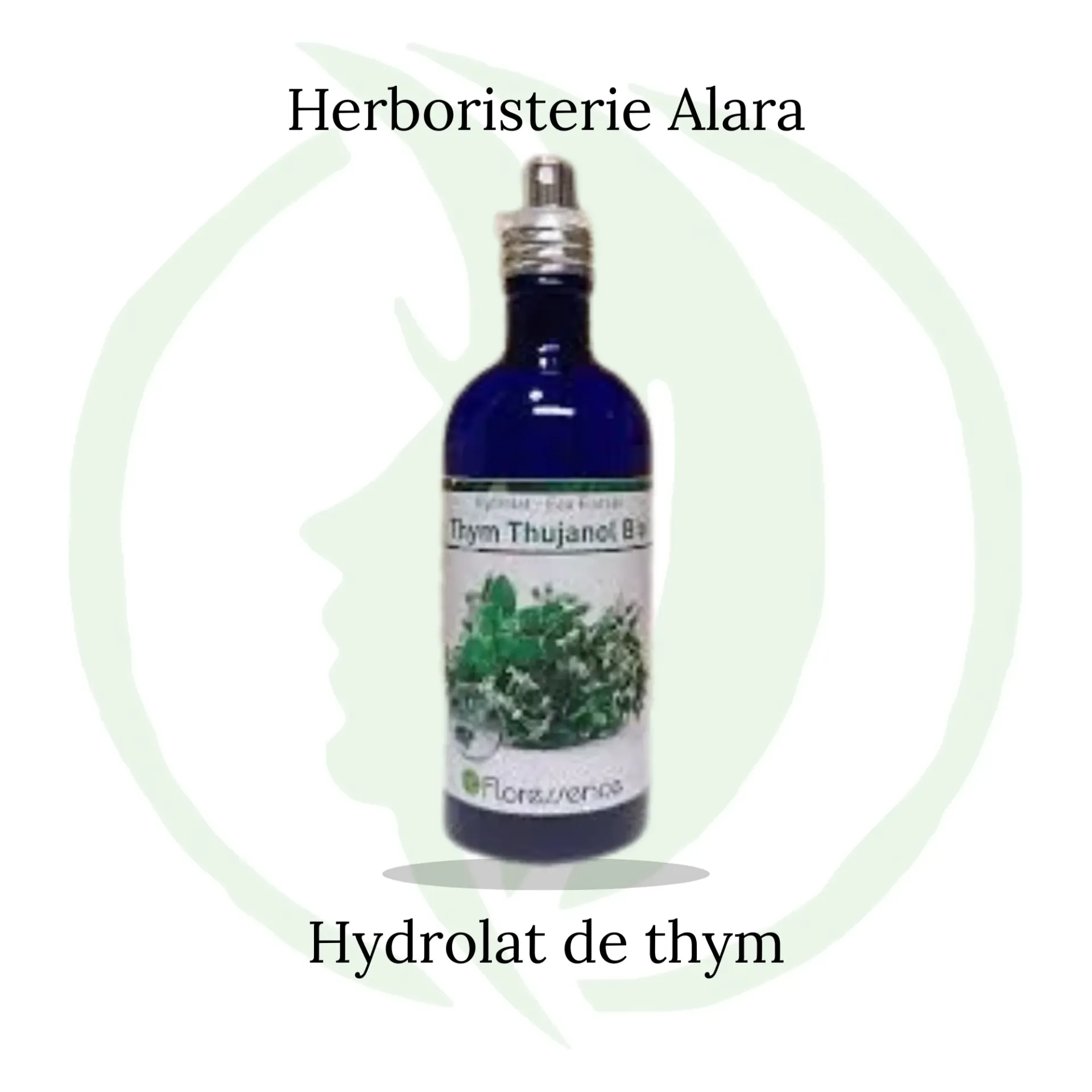 Hydrolat de Thym thujanol BIO - 200 ml