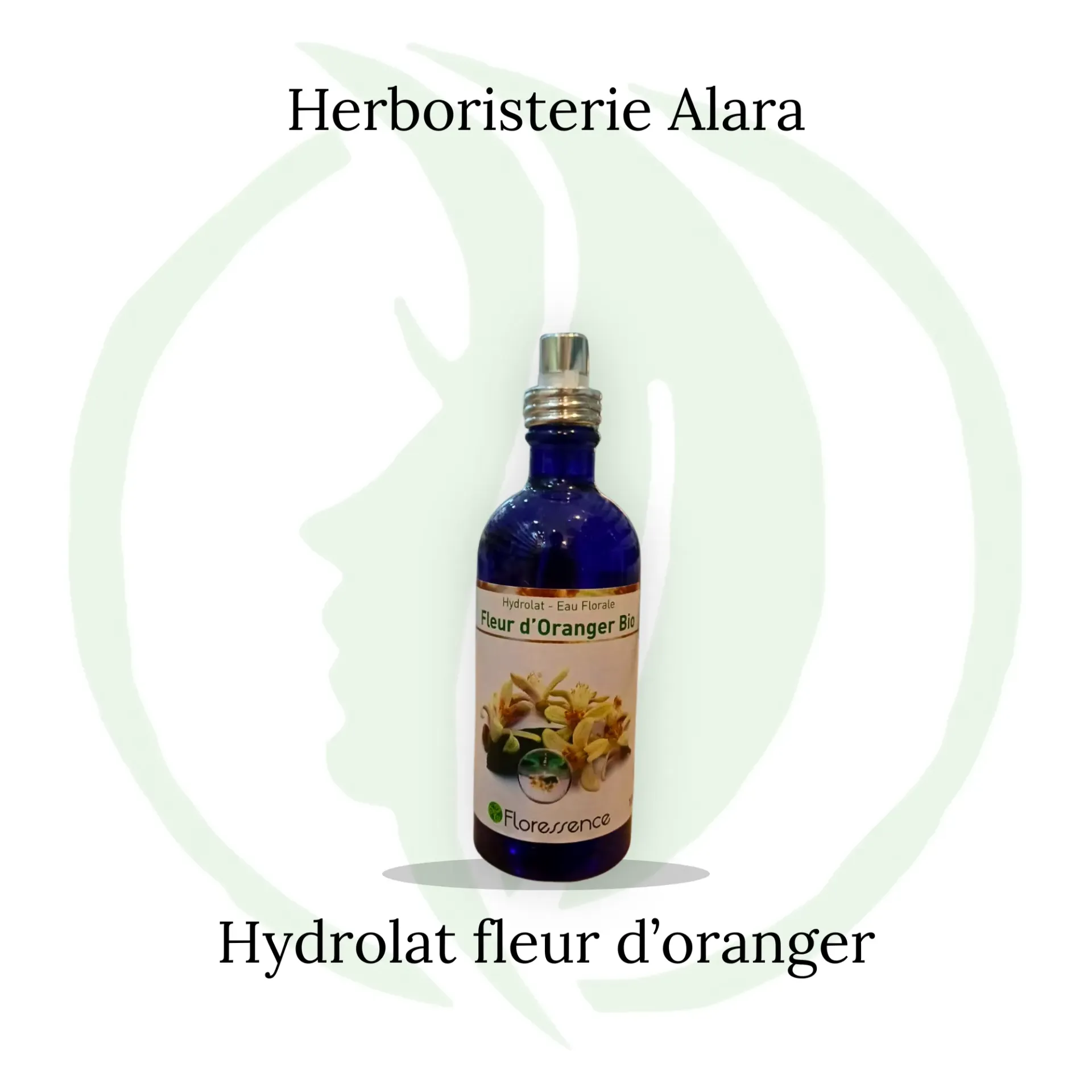 Hydrolat Fleur d'oranger BIO - 100 ml spray