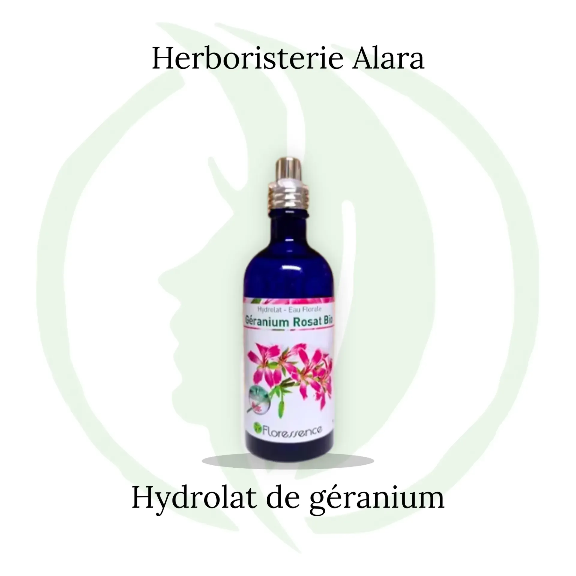 Hydrolat Géranium BIO - 100 ml spray