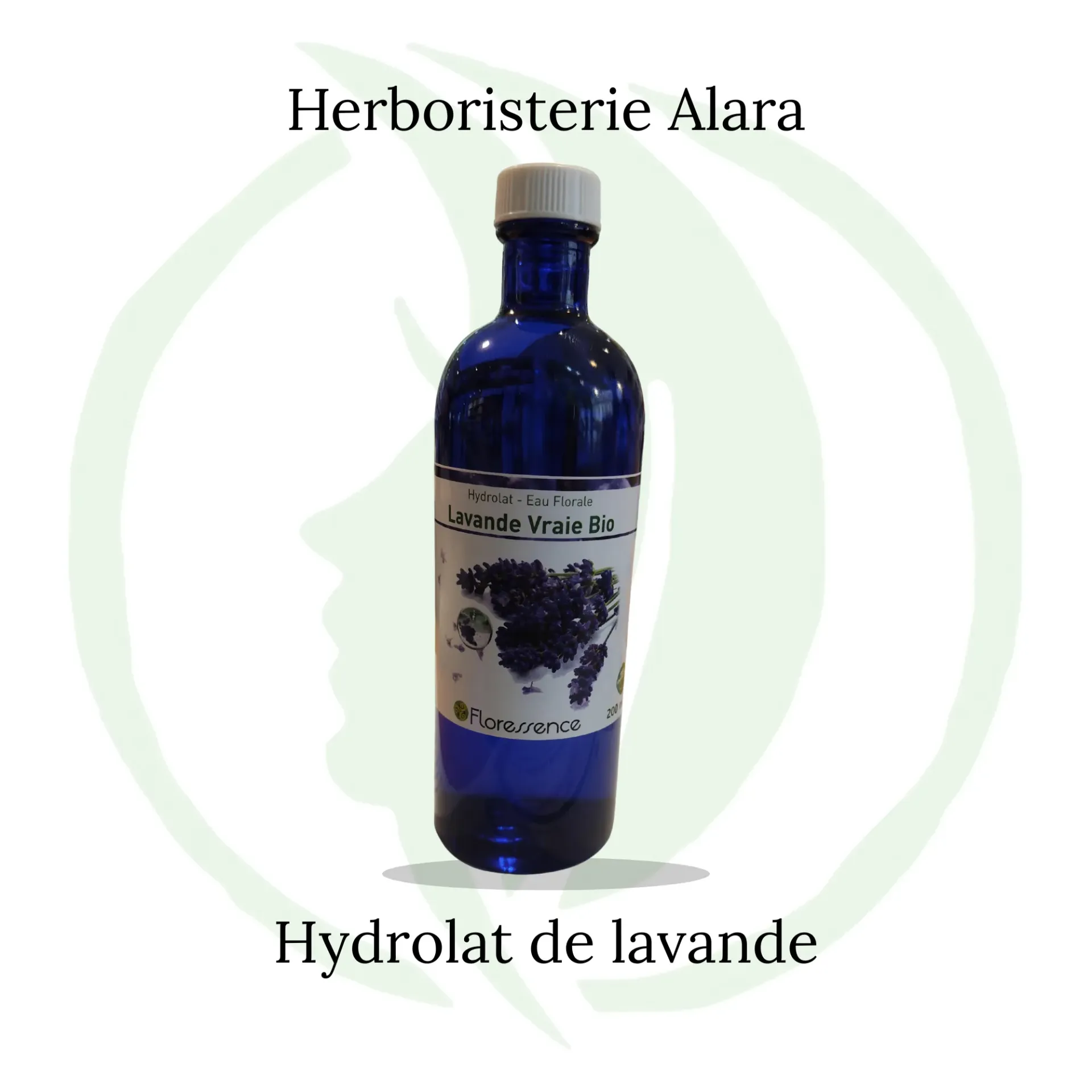 Hydrolat Lavande vraie BIO - 100ml spray
