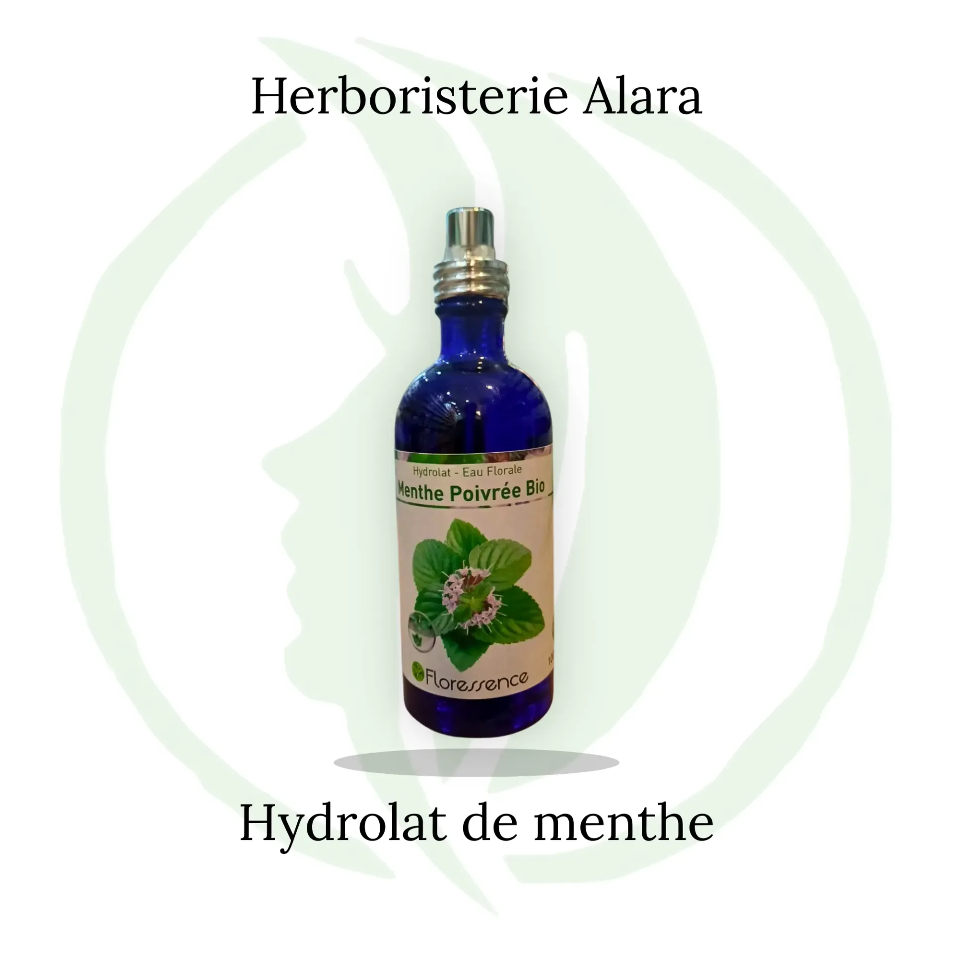 Hydrolat Menthe poivrée BIO - 100 ml spray