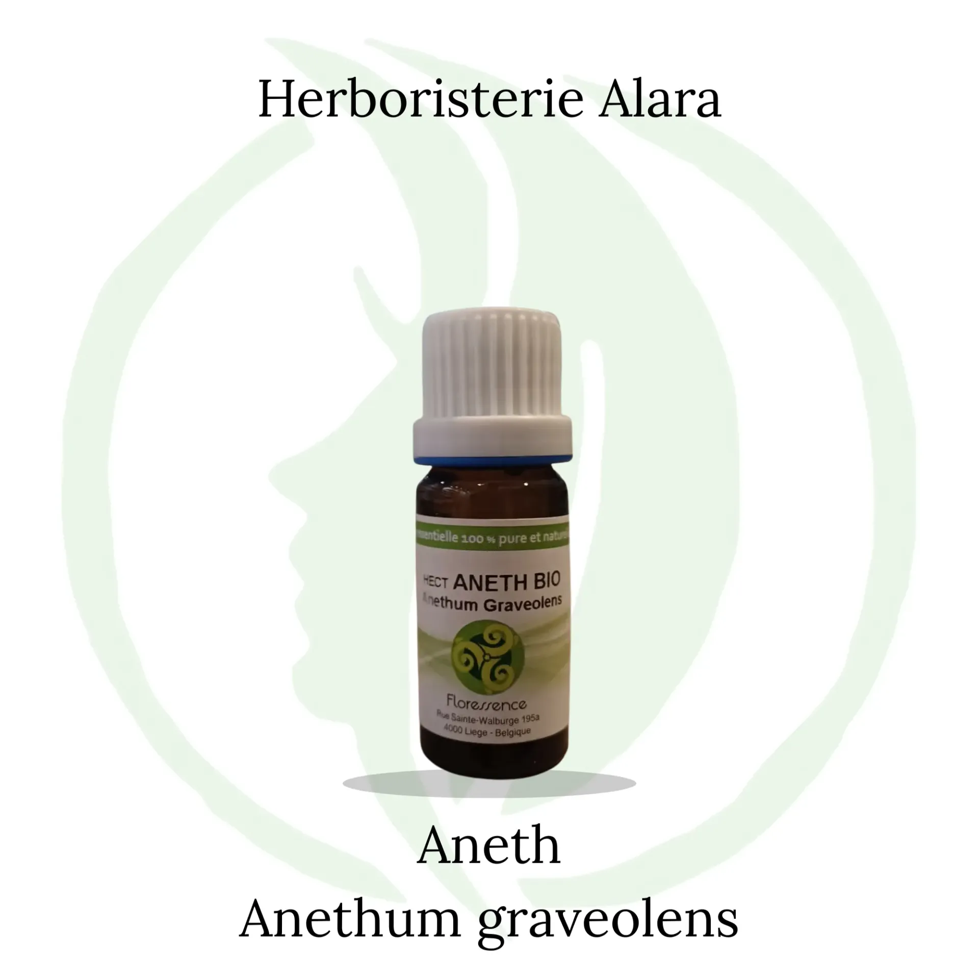 Aneth (Anethum Graveolens) BIO - 10ml