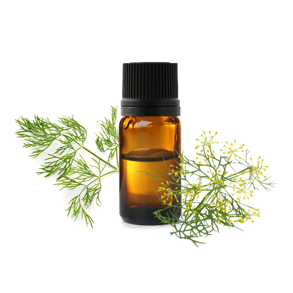 Aneth (Anethum Graveolens) BIO - 10ml