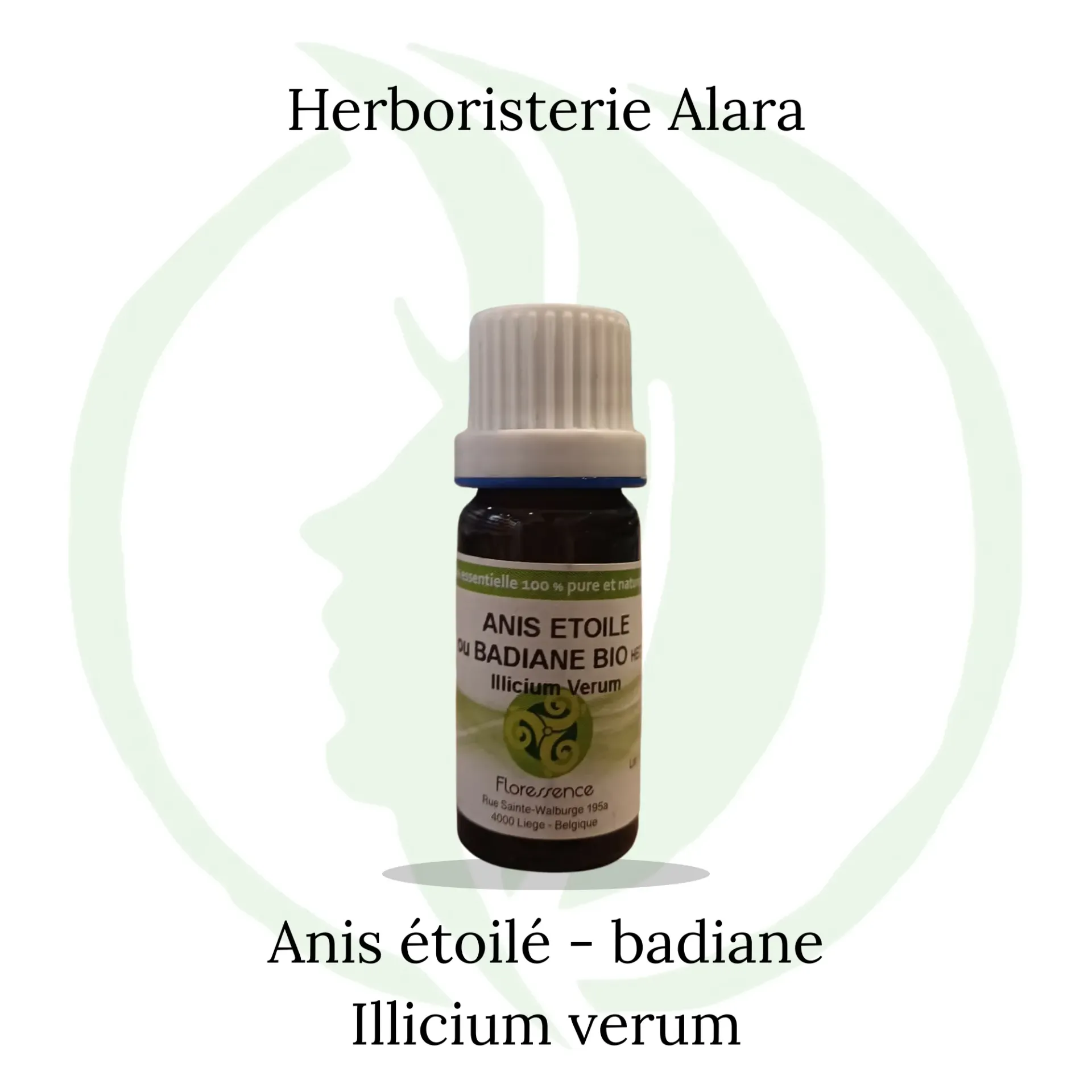 Anis étoilé ou badiane (Illicium verum) BIO - 10ml