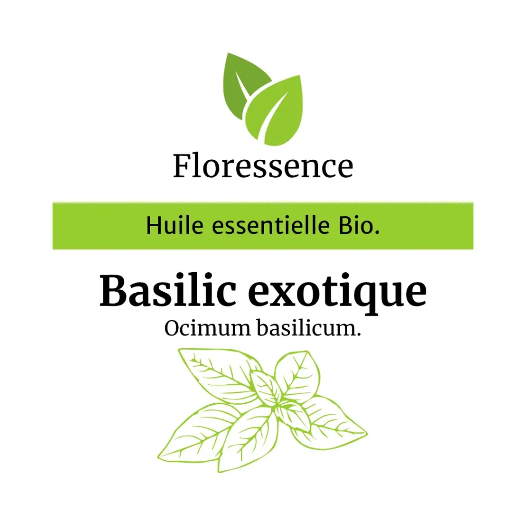 Basilic exotique (Ocimum Basilicum Methyl-ch) BIO - 10ml