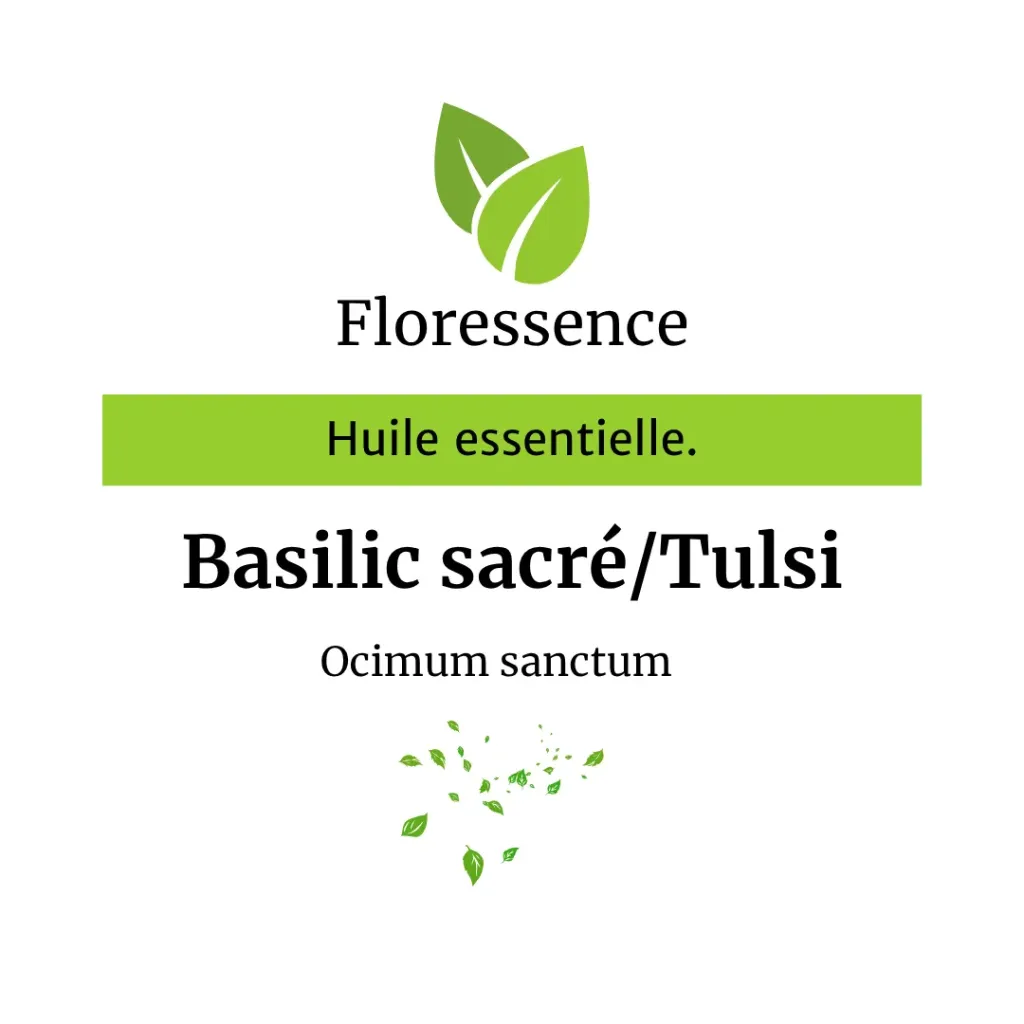 Basilic sacré  ou Tulsi(Ocimum Sanctum) BIO - 10ml