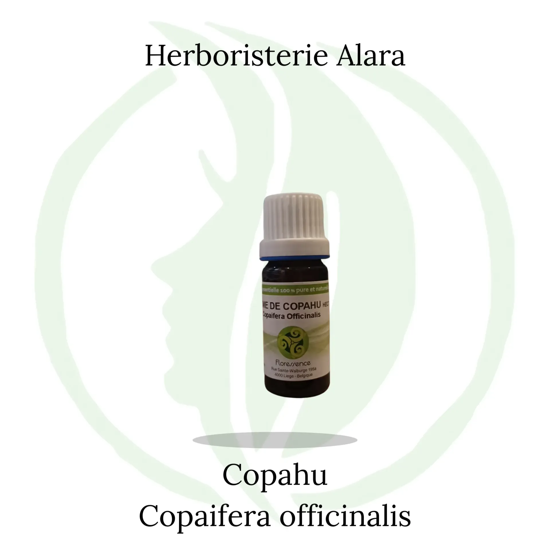 Baume de Copahu (Copaifera Officinalis) - 10ml