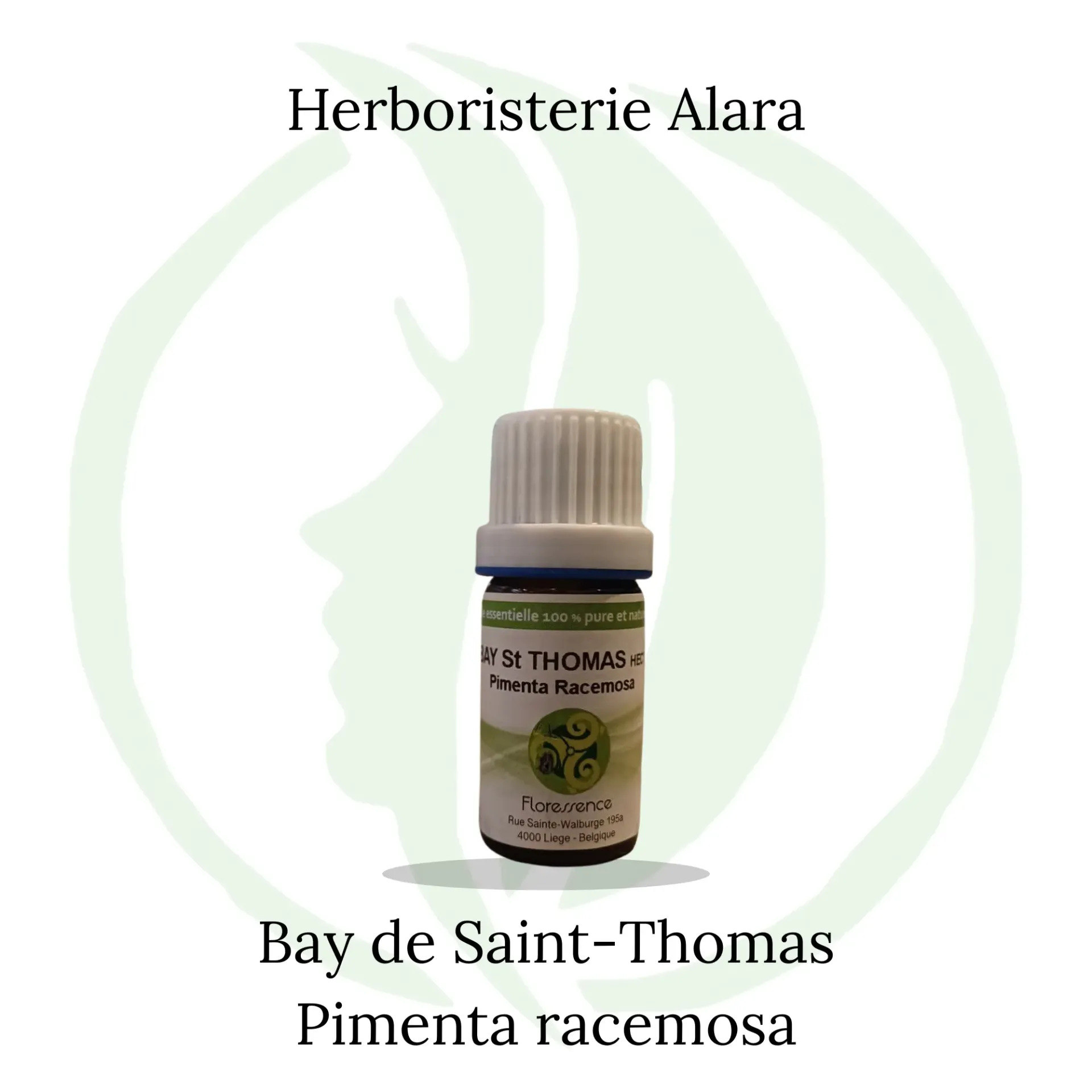 Bay St Thomas (Pimenta Racemosa) - 5ml