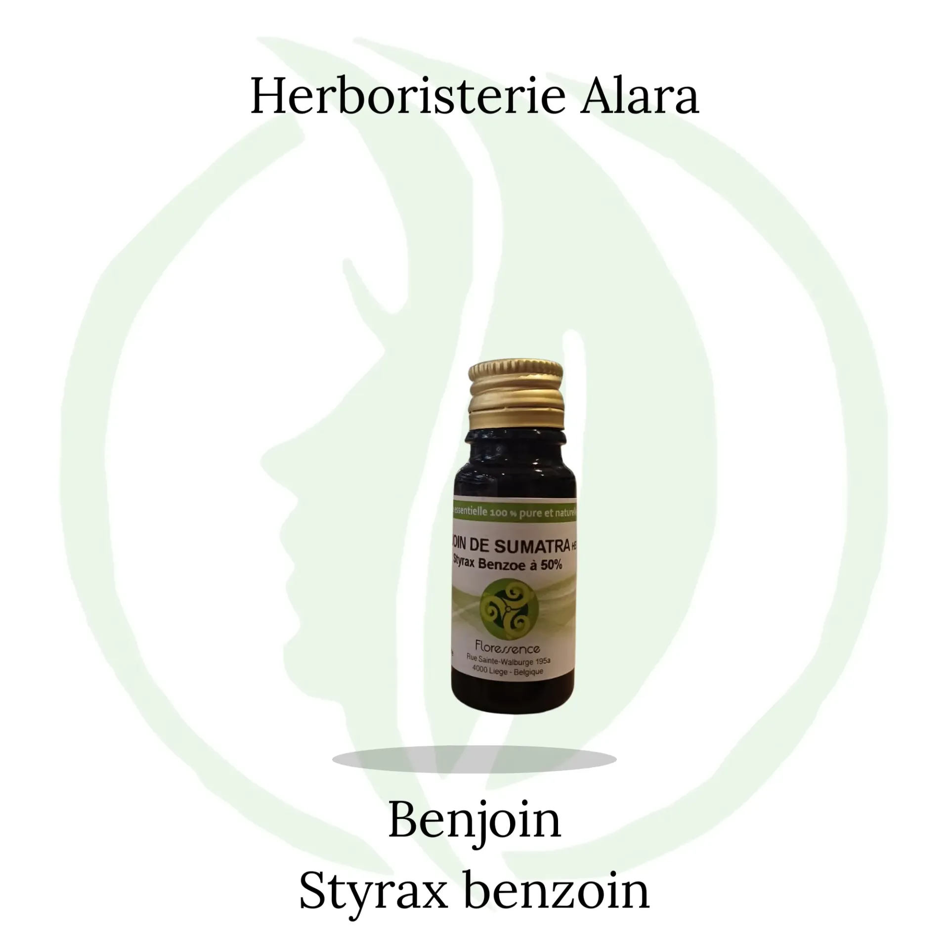 Benjoin de Sumatra résinoïde 50%(Styrax Benzoe) - 10ml
